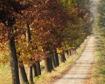 2011-Venaria-La.mandria.01