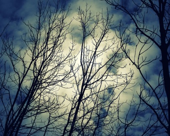 2012-Avigliana-Autunno.01