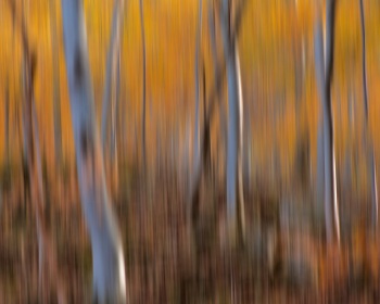 2020.Giaveno.Autunno.01