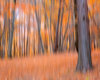 2020.Giaveno.Autunno.02