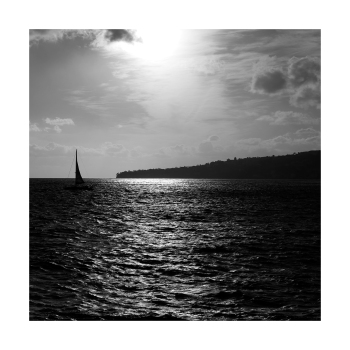 _DSC08270